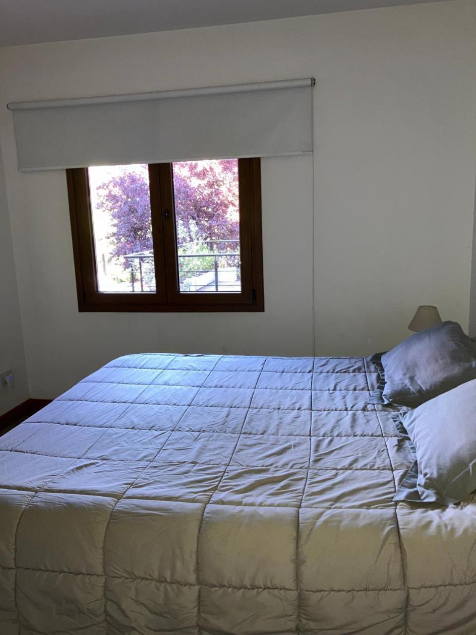 Comodo Departamento Centrico En San Martín de los Andes 외부 사진